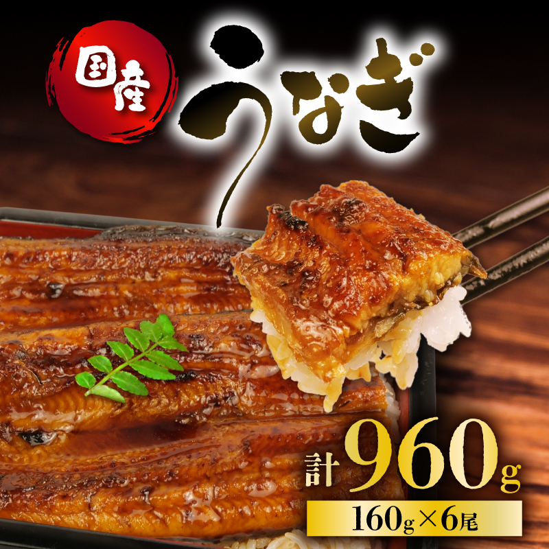 うなぎ 国産 蒲焼 160g × 6尾 計960g 鰻蒲焼 ウナギ 土用 丑の日 JAS認定 活鰻 自家製蒲焼のたれ 山椒 ギフト 贈答 冷凍 養殖 真空パック レンジ 調理 湯煎 まとめ買い 静岡県 藤枝 PT0073-000009静岡