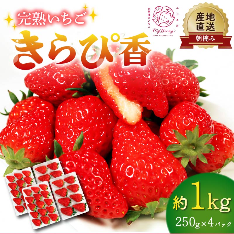 【先行予約 : 2026年3月〜2026年5月発送予定 】 いちご きらぴ香 約1kg 約250g×4パック 朝どれ 完熟 苺 産地 直送 フレッシュ イチゴ 贈答 フルーツ 果物 国産 静岡県 藤枝市 ふるさと人気 ふるさ