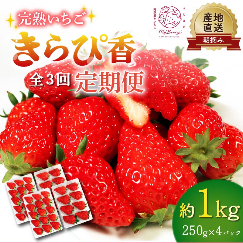 ys\ : 2026N1`\z yS3ցz  ҍ 1kg 250g×4pbN i1A2A3j ǂ n  Yn  tbV C`S  t[c ʕ Y É