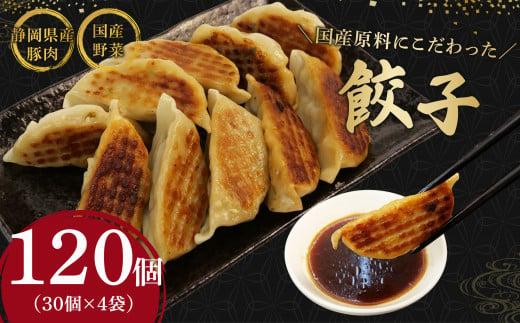 餃子 120個 野菜 豚肉 冷凍 餃子 大きめ ぎょうざ ギョウザ おつまみ  惣菜 中華 惣菜 業務用 おかず ビール ランキング 弁当 簡単調理静岡県藤枝市10000鍋セット・総菜・加工食品