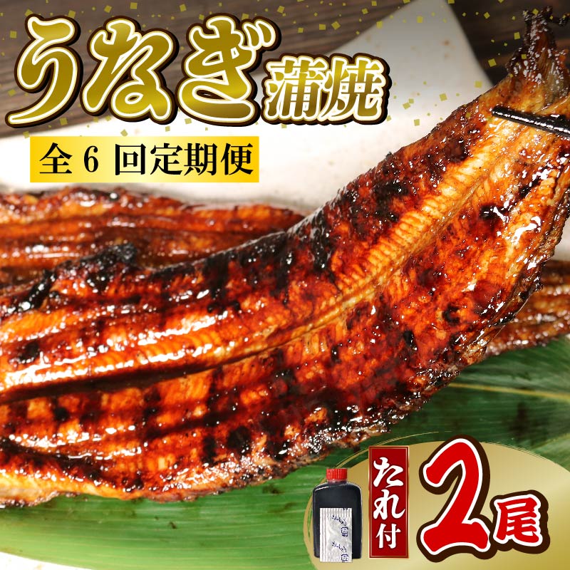 【全6回定期便】 うなぎ 蒲焼 大姿焼き 2尾 (140g×2) 定期便 鰻蒲焼 ウナギ かばやき 土用 丑の日 活鰻 自家製蒲焼 たれ 山椒 ギフト 贈答 冷蔵 まとめ買い 静岡県 藤枝 ふるさと人気静岡県藤枝