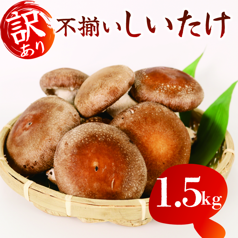 y5`11z 󂠂 s  1.5kg   VC^P ① z ő Ԃ H׉   ܂ ͔|Ԓ _sgpÉ}s9000؁Ê