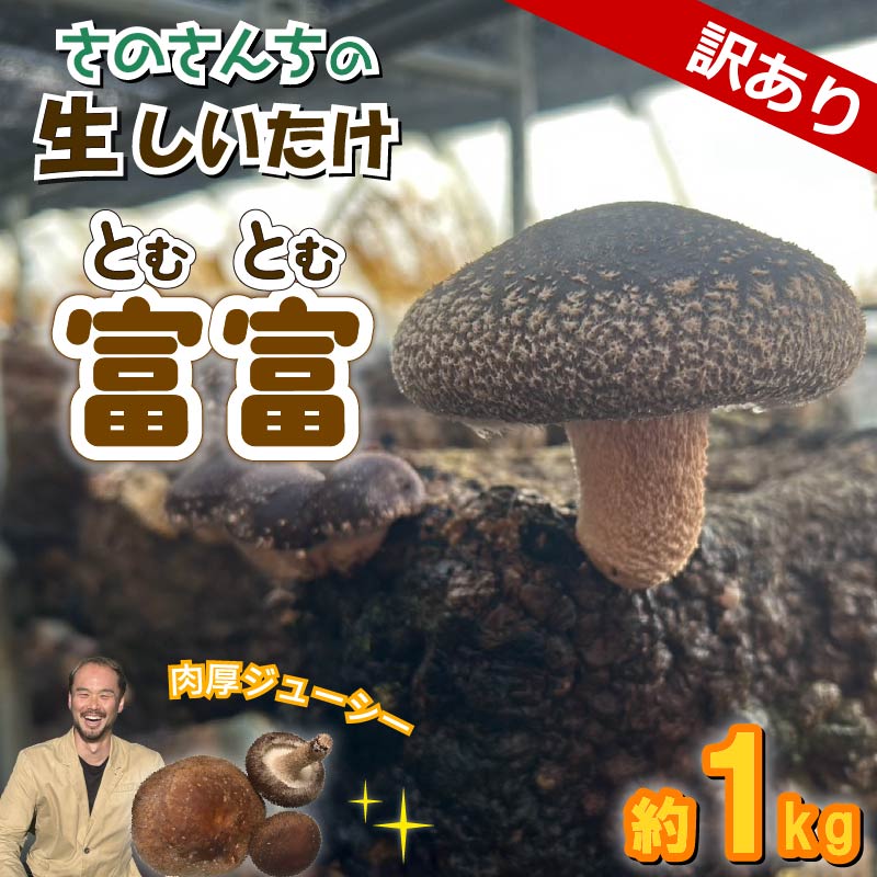 【先行予約:2025年11月以降順次発送】訳あり 生 しいたけ 富富(とむとむ)約1kg さのさんち 椎茸 シイタケ 肉厚 ジューシー きのこ 静岡県 藤枝市 人気 野菜 旬 安心 安全 JGAP認証農場静岡県