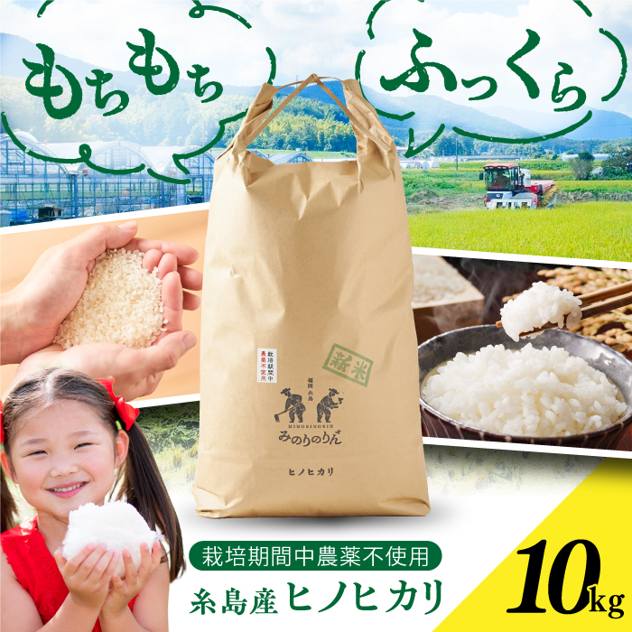 y͔|Ԓ_sgpIz YqmqJ 10kgi15܁j s / ݂̂̂ [ABD009]   10kg 10L  ͂ Ђ̂Ђ qmqJ B s27000āEp