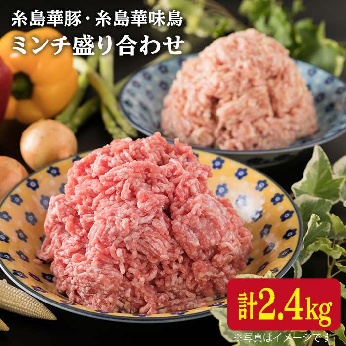 ؓ  ؖ ~` 荇킹 2.4kg s / ~[gfH[ [ACA096] ؓ {  { Ђ no[O   ؓ ؖs15000ؓ