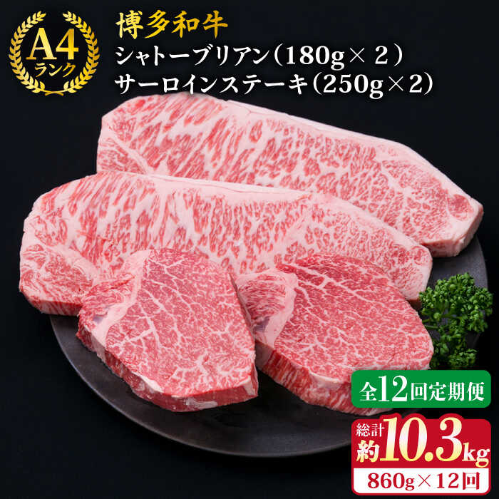 yS12ցzyɌXe[LzVg[uA 180g×2 T[CXe[L 250g×2 v4 a A4N a q s / ~[gfH[ [ACA179] qXe[L Xe[