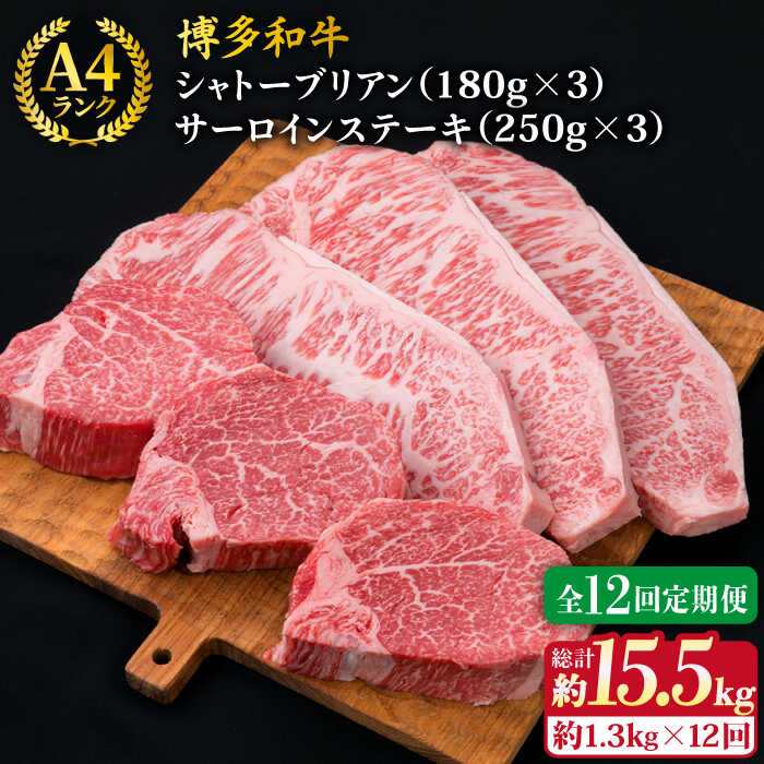 yS12ցzyɌXe[LzVg[uA 180g×3 T[CXe[L 250g×3 v6 a A4N a q s / ~[gfH[ [ACA183] qXe[L Xe[