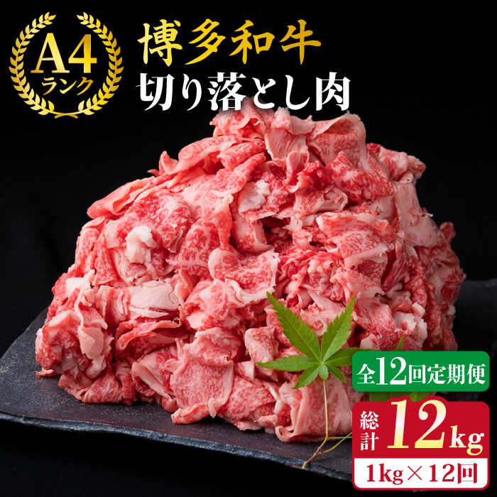 yS12ցzA4`A5N a ؂藎Ƃ 1kg i250g×4Pj ؂藎 s / ~[gfH[ [ACA191] a   BBQ Ă Ă Ⴊ  Y ֕