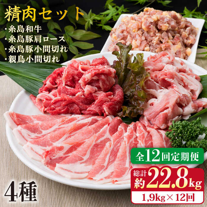 yS12ցz ؓ { g̐Zbg 1,930g 4`5lO 4 s / ~[gfH[ [ACA199]  a  ؓ { BBQ  ē Ys220000