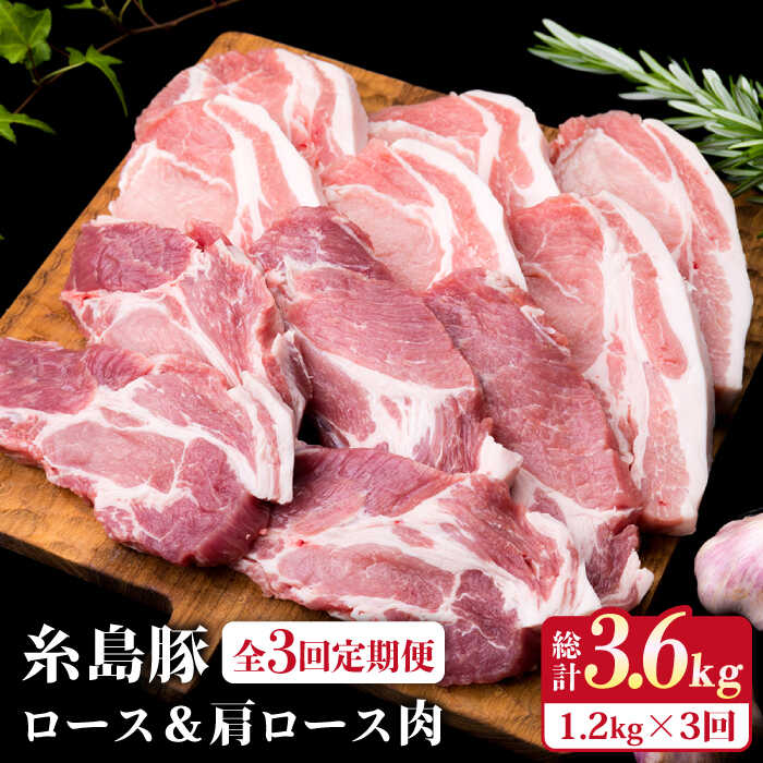 yS3ցz؃[X6 [XJc5 v11Zbg s / ~[gfH[ [ACA229] Y  ؓ  [X [X gJc geLs30000ؓ