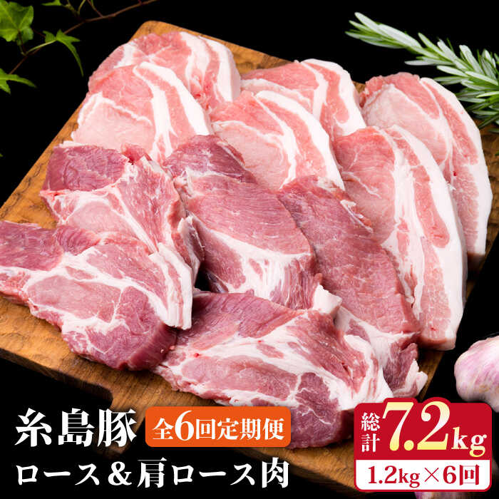 yS6ցz؃[X6 [XJc5 v11Zbg s / ~[gfH[ [ACA230] Y  ؓ  [X [X gJc geLs60000ؓ