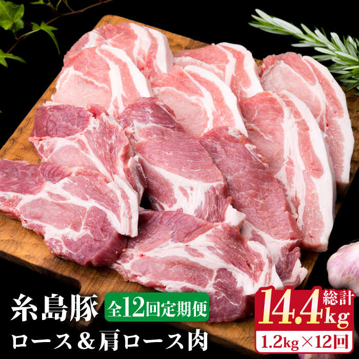 yS12ցz؃[X6 [XJc5 v11Zbg s / ~[gfH[ [ACA231] Y  ؓ  [X [X gJc geLs120000ؓ