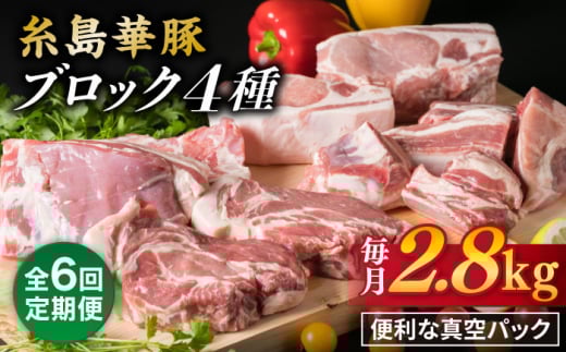 yS6ցzy 荇킹 z ؓ ubN 4iZbg 2.8kg s / ~[gfH[ [ACA279]s150000ؓ
