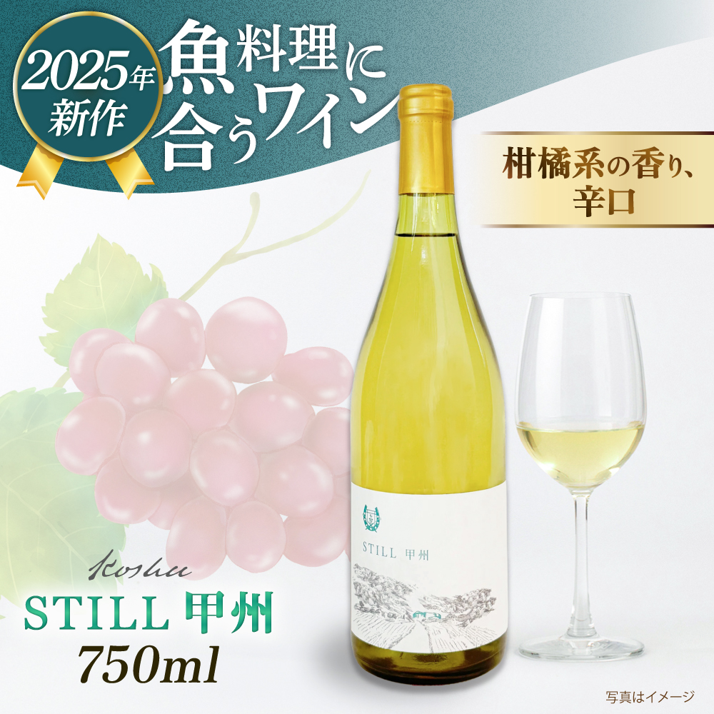 y}XGCizSTILL bB 1{ s / Ƃ̂Ƃ / C  [AEP004] C Y C h  Ԃǂ bB   Ci[s15000EAR[C