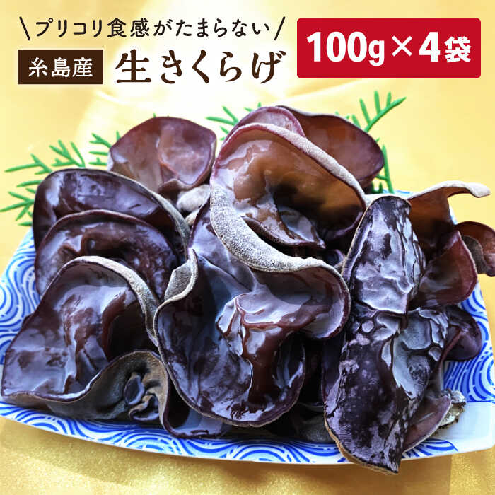  炰 100g×4P Y s / ̂t@[ [AFC004]s10000؁Ê̂