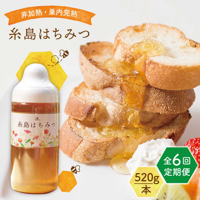 yS6ցz ݂͂ 520g s / @x[t[Y /S / I [AFJ006] I ݂͂ n`~c Y M Y g {Is100000ZbgE؁EHHiW