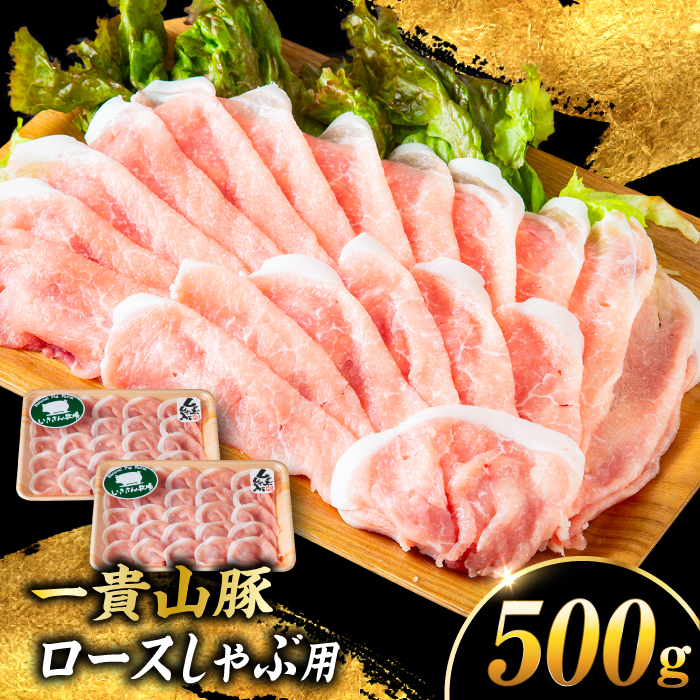 MR [Xԗp v500g(250g×2p) s / q ؓ Ⓚ [AGB044] ؓ  uh MR |[N [X XCX 250g s9000ؓ