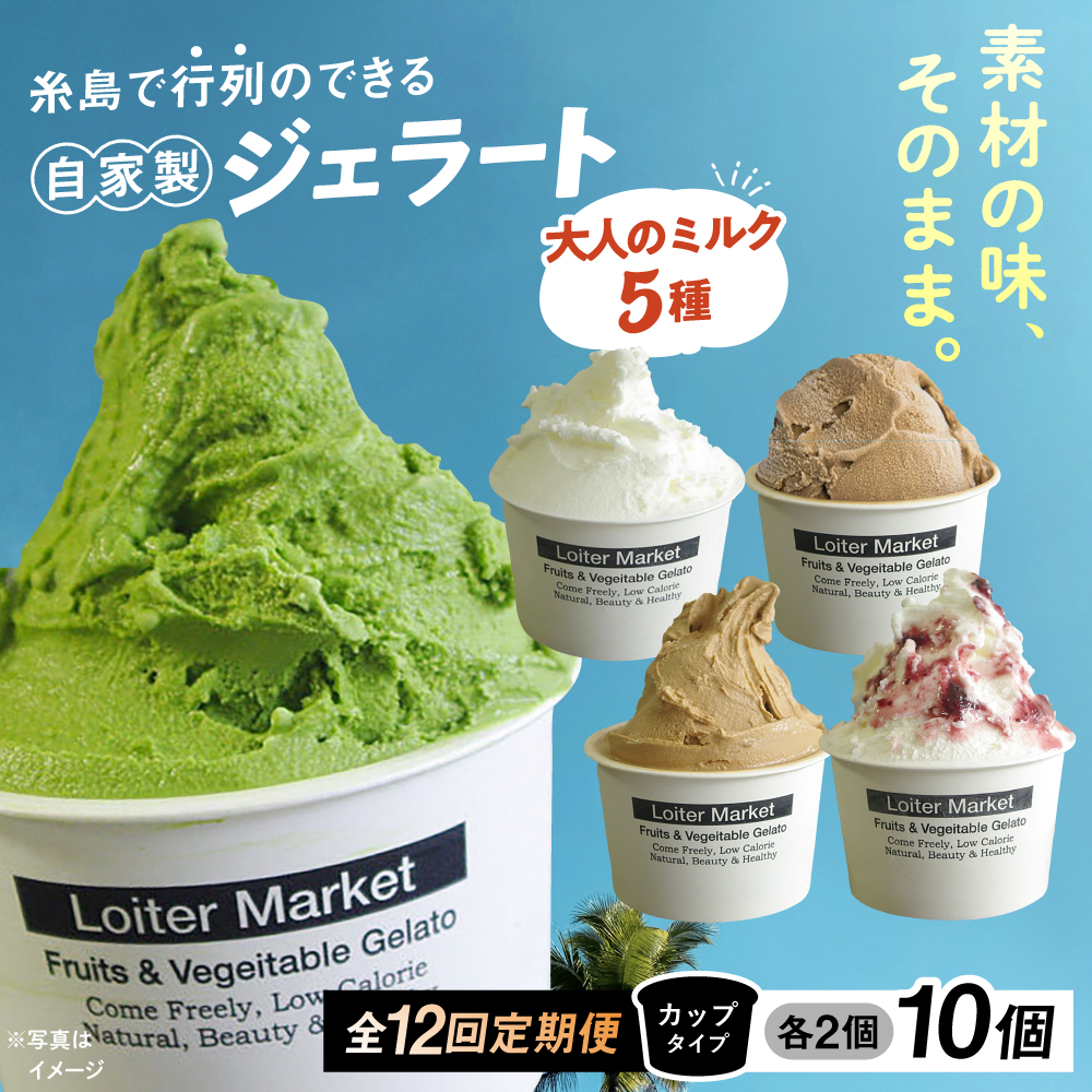 【全12回定期便】糸島で行列のできる アイスクリーム 屋 ジェラート カップ 10個セット! 大人の味 5種類×各2個 (ミルク/抹茶/ほうじ茶/カフェオレ/ブルーベリーヨーグルト) 糸島市 / LoiterMark