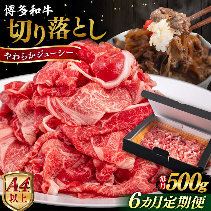 yS6ցzyA4/A5za ؂藎Ƃ 500g s / qT_t[Y јa  XCX  [AIA097]  ؂藎Ƃ Y  a јa XCX A5N 500gs1