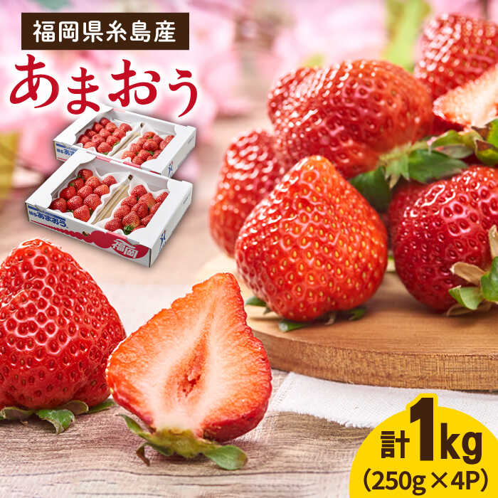 ys\zYutv܂ 4pbN y2026N2{ȍ~z s / 썑t[c [AIK008]  Mtg C`S Hה c ^gs12000ʕEt[c