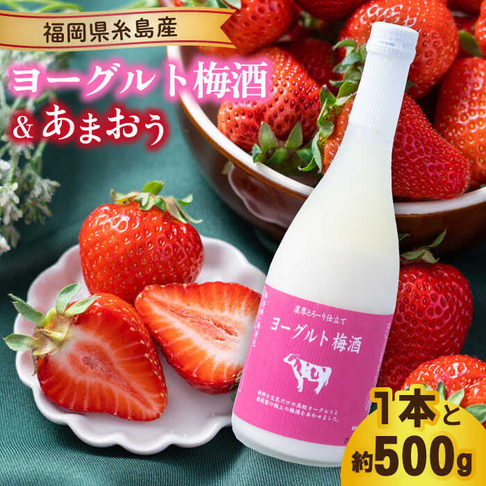 ys\zy~z[Og~720ml ×܂ 250g×2pbN y2025N12{ȍ~z s / 썑t[c [AIK012] ~ [Og  ܂   C`S