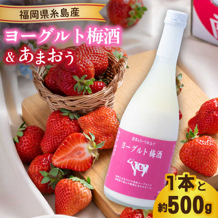 ys\zytz[Og~720ml ×܂ 250g×2pbN y2026N2{ȍ~z s / 썑t[c [AIK013] ~ [Og  ܂   C`S