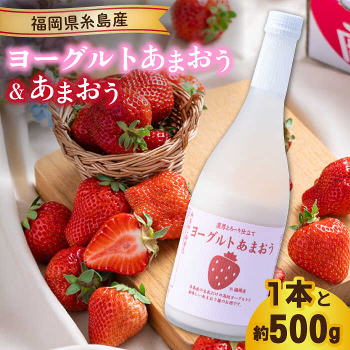 ys\zytz[Og܂720ml ×܂ 250g×2pbN y2026N2{ȍ~z s / 썑t[c [AIK015] L[ Zbg ܂   C`S