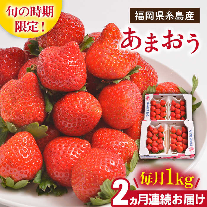 ys\zyS2ցz Yy~z ܂ 4pbN v1kg y2025N12{ȍ~zs / 썑t[c [AIK024]  Mtg C`S Hה c ^g t