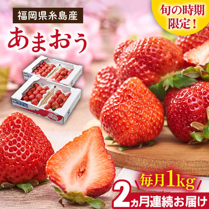 ys\zyS2ցzYytz ܂ 4pbN v1kg y2026N2菇zs / 썑t[c [AIK026]  Mtg C`S Hה c ^g t[c ʕ