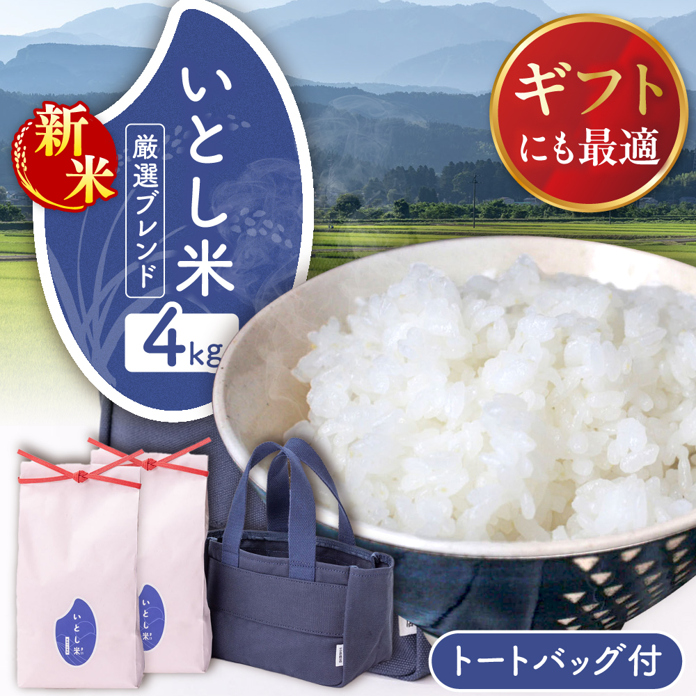 yߘa7NYVāzƂ Iuh Premium Gift 2kg×2 CXobOt y2025N11ȍ~zs / OX /  Mtg [AIM081]     uh  ߂