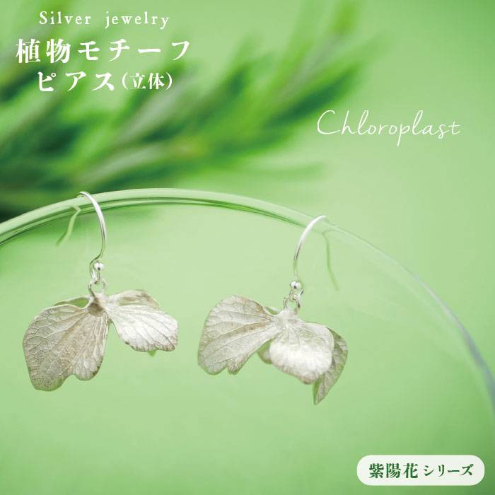 A  `[t ɂ sAX () s / Chloroplast / NvXg [ALF003]s93000ߗށEiEH|iANZT[