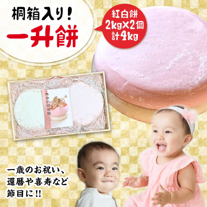 y˔Ip\Izꏡ 2kg×2igj s / H[ Ëg [AMK001] ݓ 炶 Zbg   g a 1 a ajs27000āEpāEG