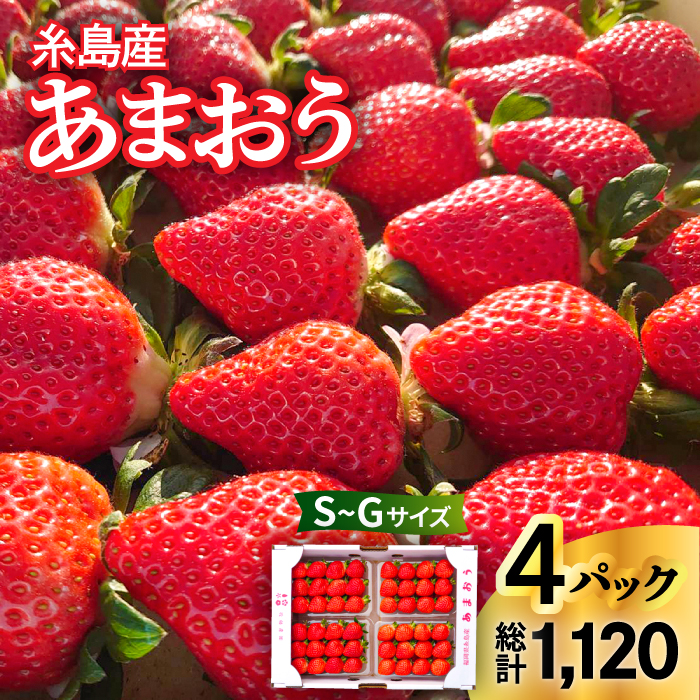 ys\zy_ƒIz Y ܂ 280g×4pbN (S~GTCY)y2026N1{ȍ~z s / 㓡_ [AML003] ܂  C`S  Mtg  Ԍ t[c 4p