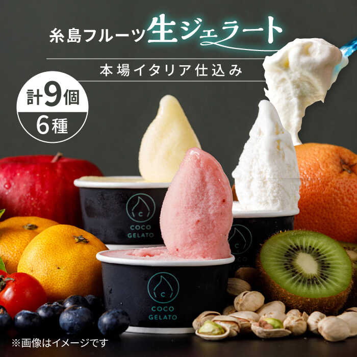  t[c WF[g 9Zbg s / COCO GELATO [AON001] WF[g t[c ʕ ACX ACXN[ Zs15000َqEXC[c̑ mَq