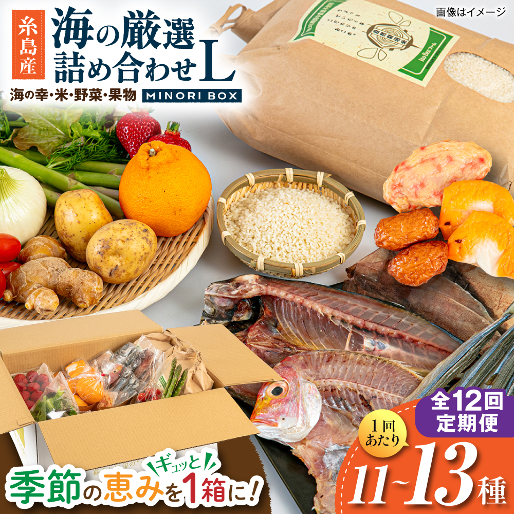 yS12ցzY    ʕ Ilߍ킹 MINORI BOX LTCY s / emma.Inc /    ʕ lߍ킹 [AOP030]s720000āEp