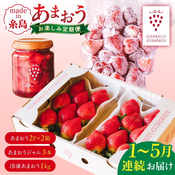 ystzyS5ցzY܂yݒ ܂4pbN×2 / ܂W3{ / Ⓚ܂1kg y2026N1菇zs@/ slowberry strawberry [APJ007] ܂