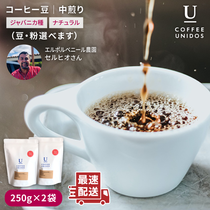  R[q[  250g × 2 i  E  Iׂ܂ j jJOAY G|xj[_ WojJ i` st yCOFFEE UNIDOSz [AQF005]  JtF R[q[s15000