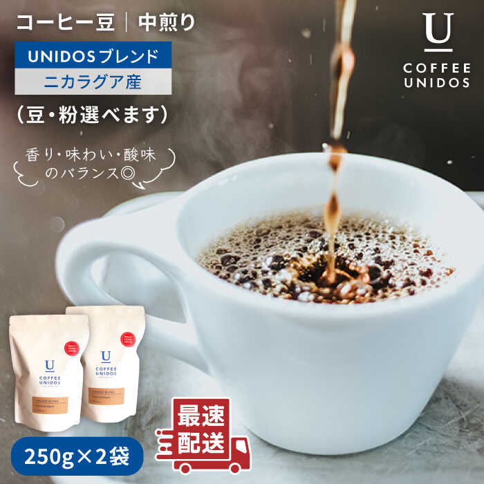  R[q[  EjhXuh 250g × 2 i  E  Iׂ܂ jst yCOFFEE UNIDOSz [AQF012]  JtF R[q[s15000ER[q[Eg
