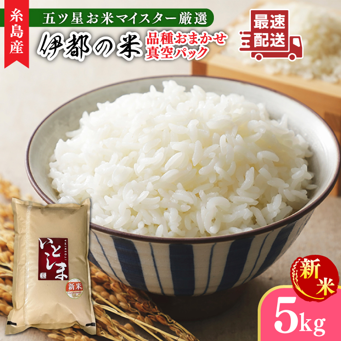 yߘa7NYVāzyۑ\z ܃că}CX^[I i킨܂  5kg s / [xčX [ARL005]     B 5L ^pbN ۑ ܂ă}CX^