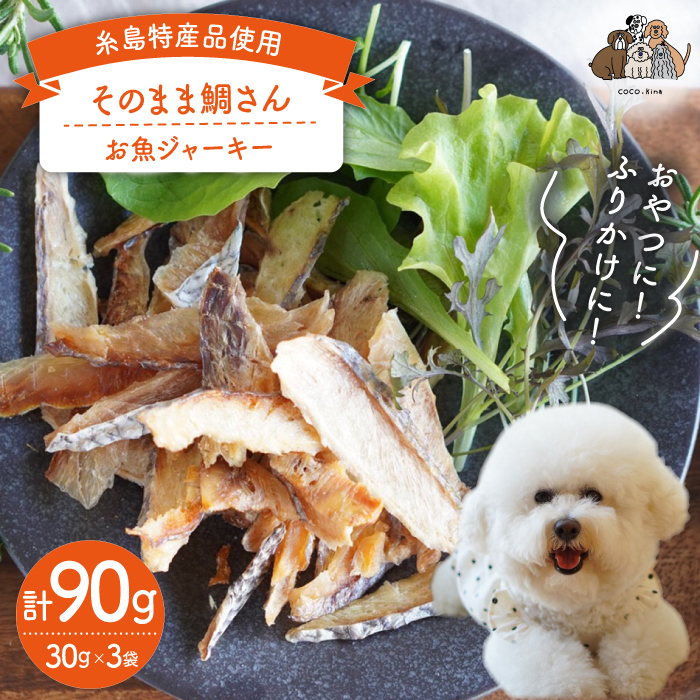 yYigpz Y ̂܂ ₳ 3 s / ЃRoVycoco.kinaz   hbOt[h [ASL002] Y hbOt[h   W[L[  ybgs12000