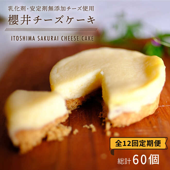 yS12ցzY`[Y̟N`[YP[Ly5z s / H[ u [ATA007] XC[c `[YP[L  Z  Ⓚ ①s103000َqEXC[cP