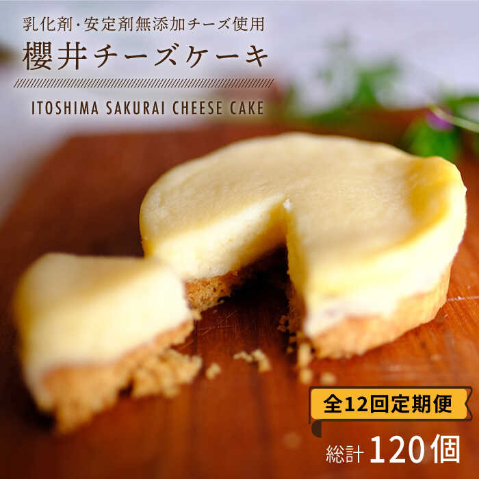 yS12ցzY`[Y̟N`[YP[Ly10z s / H[ u [ATA010] XC[c `[YP[L  Z  Ⓚ ①s161000َqEXC[c