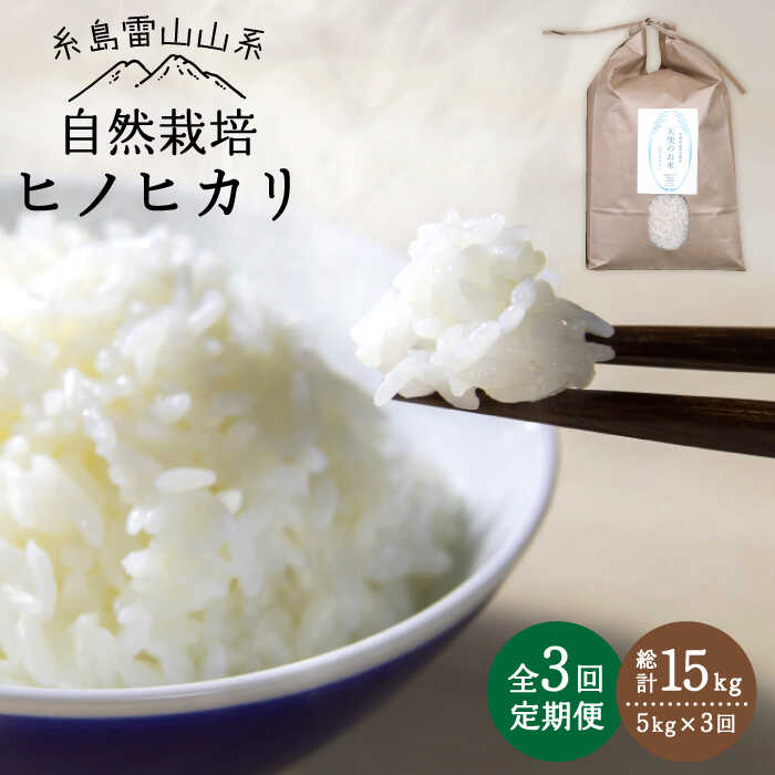 yāzyߘa7NYVė\zy S3  z R͔| qmqJ 5kg sty΃t@[zy2025N11{ȍ~񔭑z [ATE017]s60000āEp