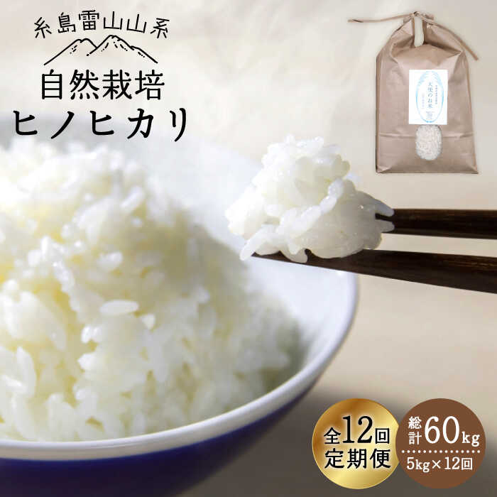 yāzyߘa7NYVė\zy S12  z R͔| qmqJ 5kg sty΃t@[zy2025N11{ȍ~񔭑z [ATE019]s237000āEp