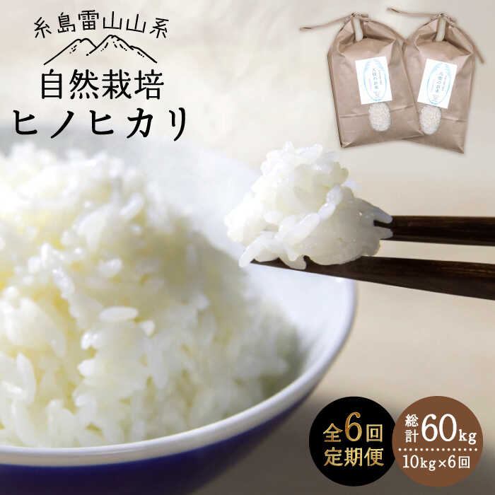 yāzyߘa7NYVė\zy S6  z R͔| qmqJ 10kg sty΃t@[zy2025N11{ȍ~񔭑z [ATE021]s216000āEp