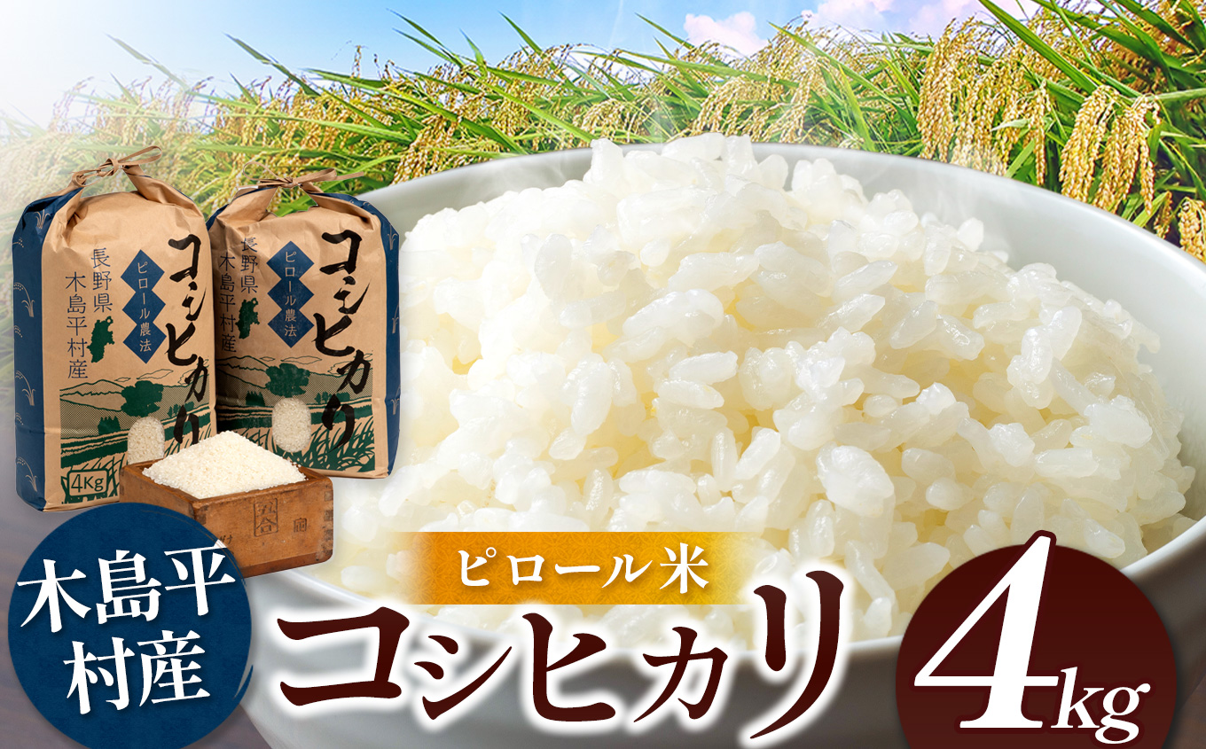 木島平産 コシヒカリ ピロール米 約4kg | 米 白米 精米 特別栽培