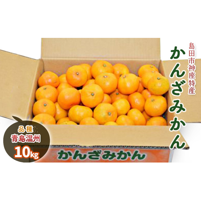 みかん 10kg 島田市神座特産 かんざみかん 青島温州 フルーツ 果物 くだもの 旬のフルーツ 旬の果物 温州みかん 柑橘 柑橘類 静岡 静岡県 島田市静岡県島田市16000果物・フルーツみかん・柑橘