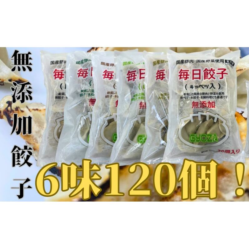 安心安全の無添加冷凍ぎょうざ!6種(キャベツ・唐辛子・ニンニク・野菜・レタス・生姜)合計120個! 加工食品 惣菜 冷凍惣菜 おかず 中華 国産豚肉 国産野菜 鍋料理 静岡県島田市25000鍋セ