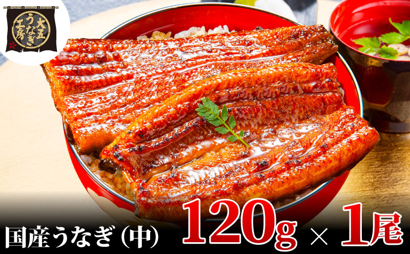 Ȃ 120g×1 Ȃ EiM V  ĂⓀ Y  ܒʏ É csÉcs5000ECYȂ