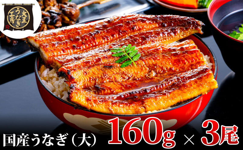 うなぎ蒲焼 160g×3尾(480g) うなぎ ウナギ 鰻 蒲焼 蒲焼き冷凍 国産 大五 大五通商 静岡 島田市静岡県島田市16000魚介・海産物うなぎ